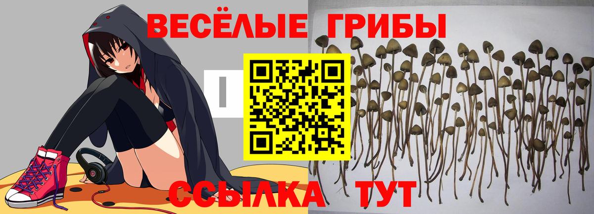 Галлюциногенные грибы ЛСД Кисловодск